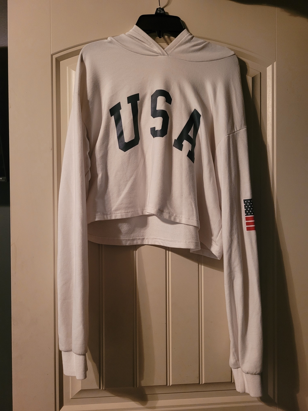 USA Graphic Cropped Hoodie - White
